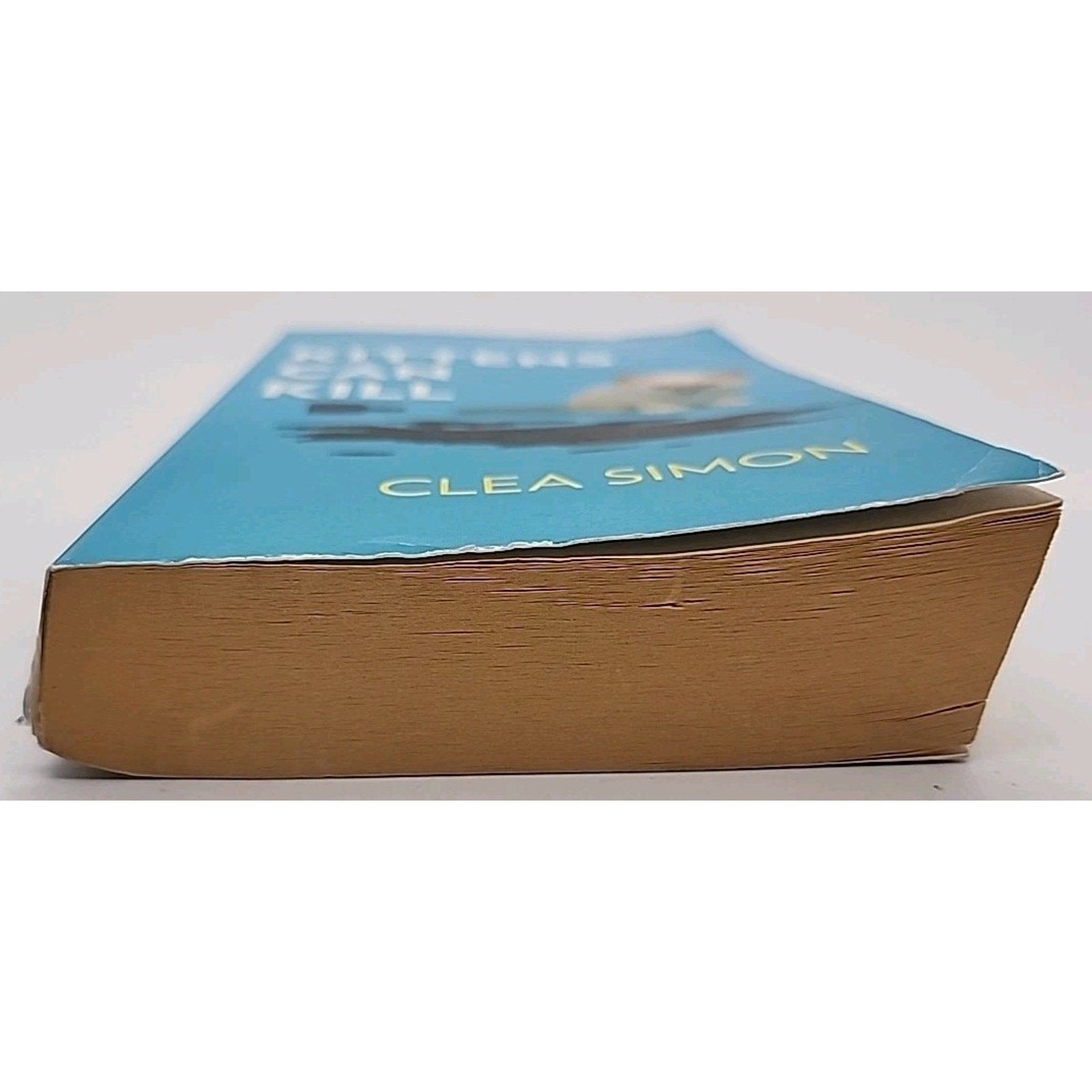 Kittens Can Kill (Paperback)