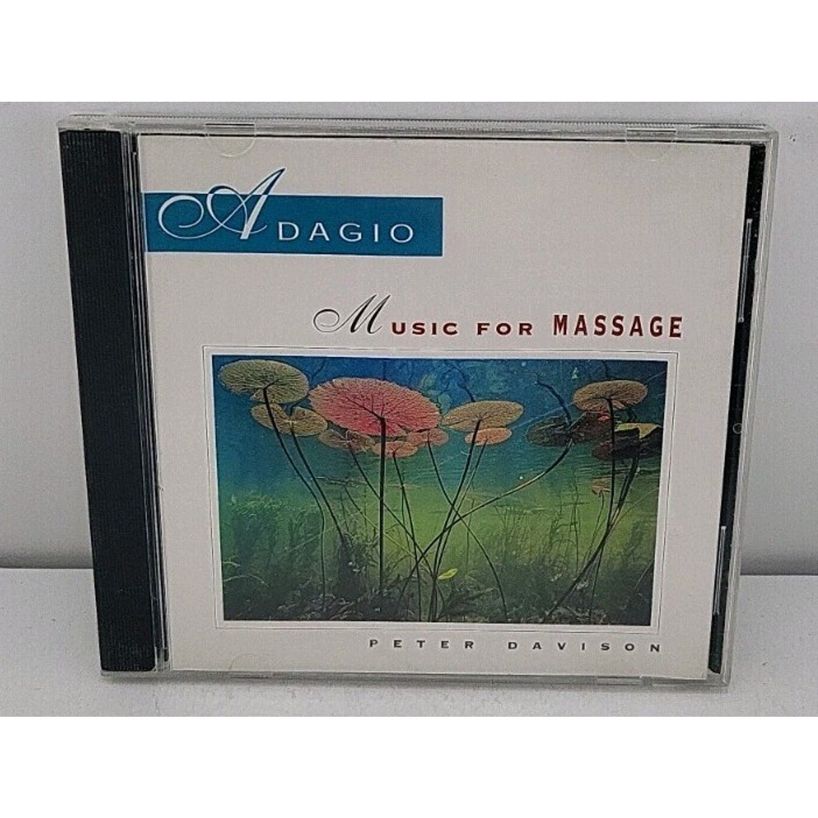 Adagio: Music for Massage by Peter Davison (CD, Jun-2000, Living Arts)