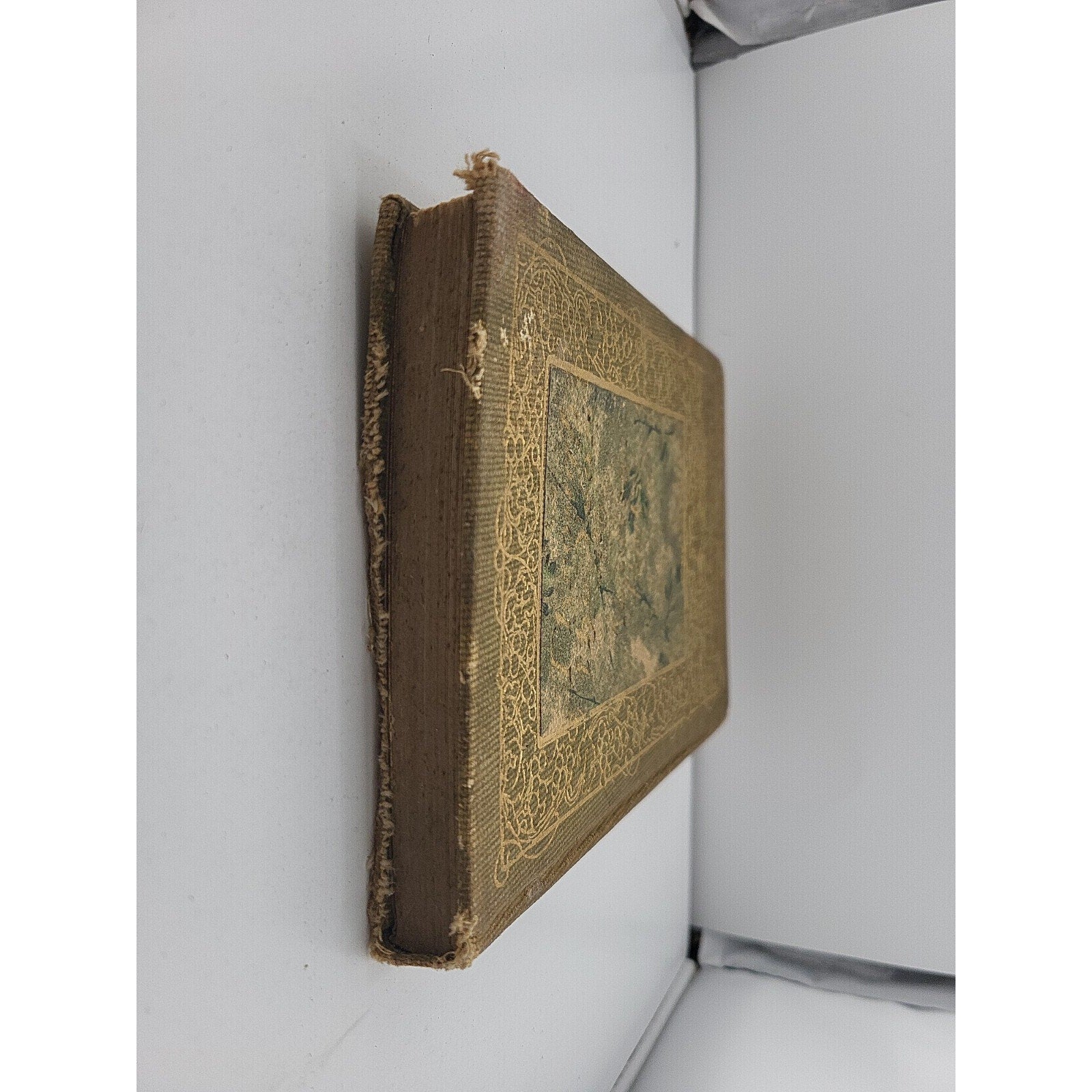 Through The Year With American Poets 1907