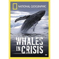 National Geographic - Whales in Crisis (DVD, 2006)