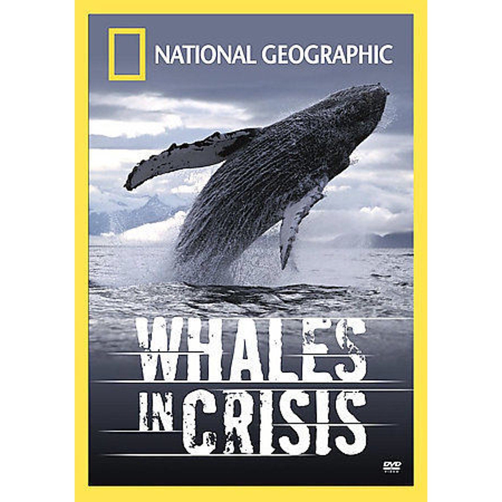 National Geographic - Whales in Crisis (DVD, 2006)
