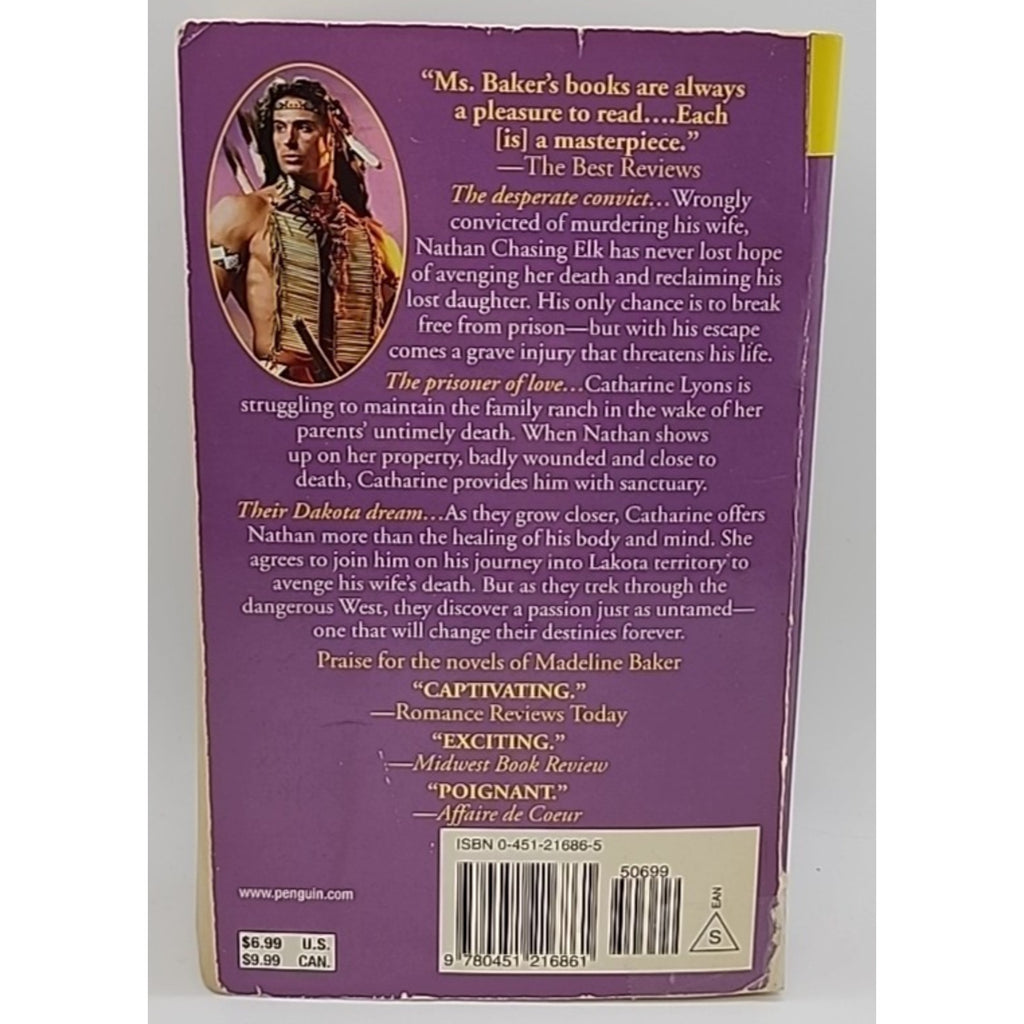 Dakota Dreams by Madeline Baker (2006, Mass Market)