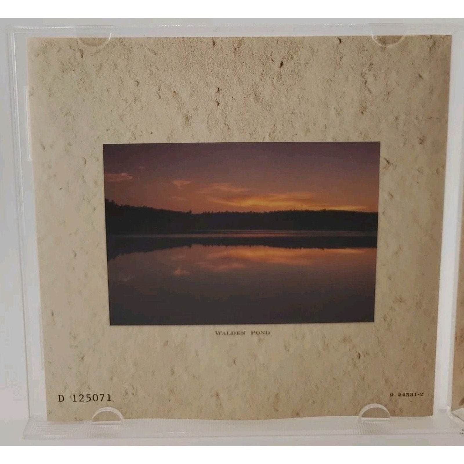 Common Thread: The Songs of the Eagles (CD)