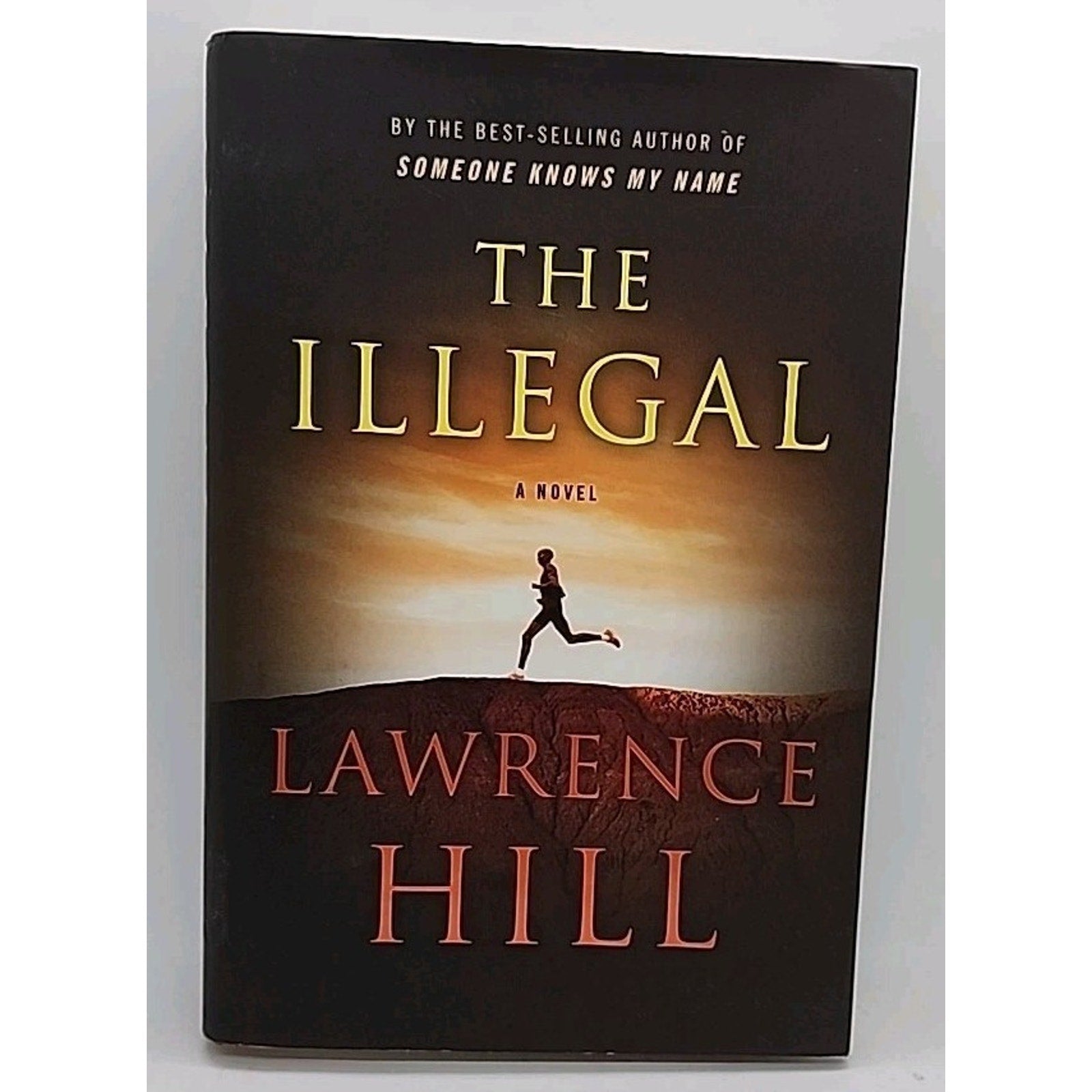 The Illegal: A Novel - Lawrence Hill (Hardcover)