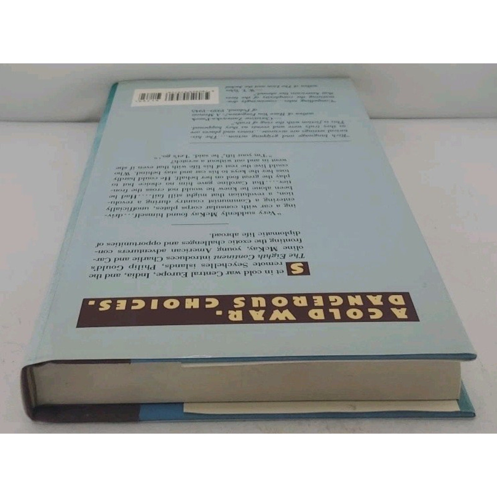 Eighth Continent : Tales of the Foreign Service by Philip Gould (1991,...