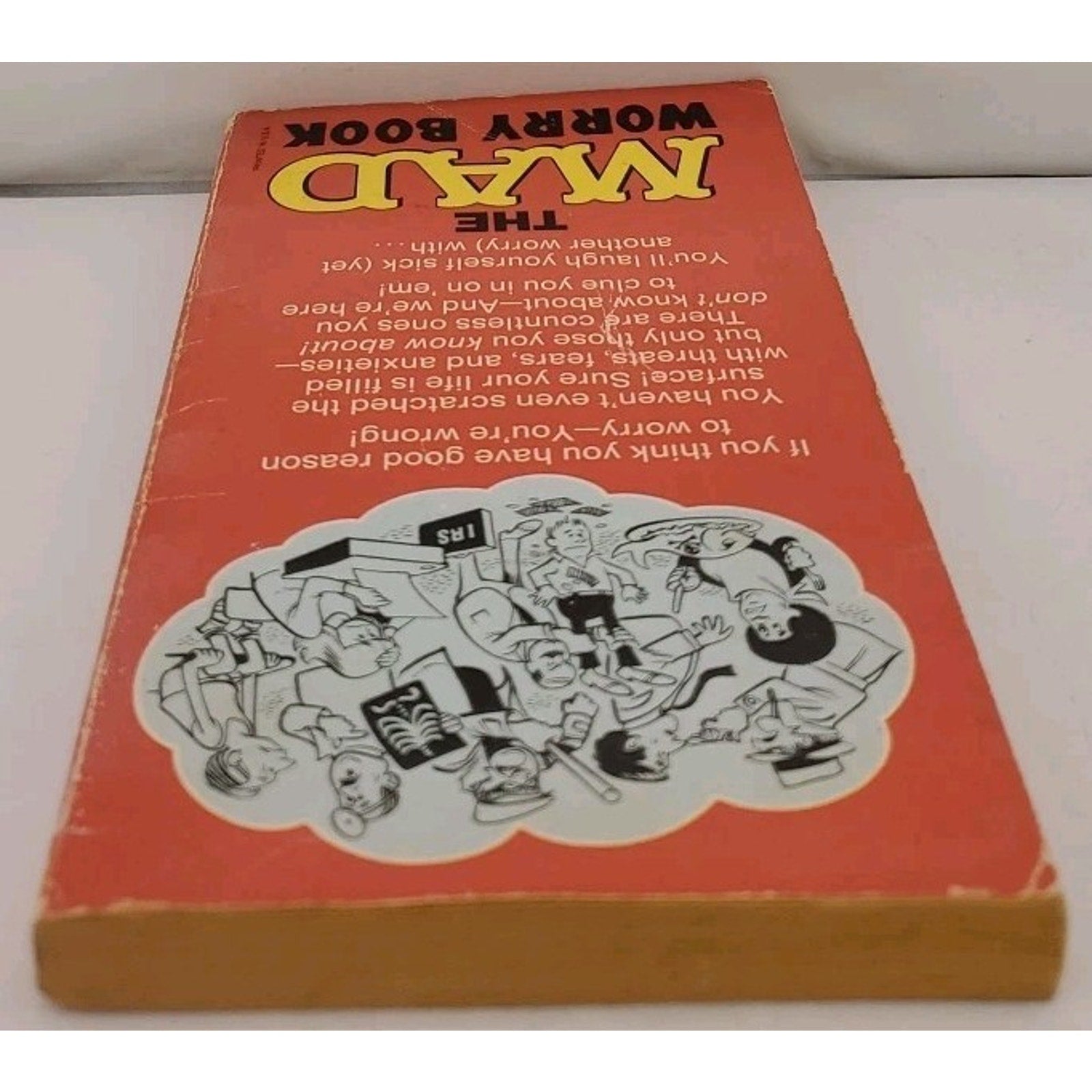 The Mad Worry Book