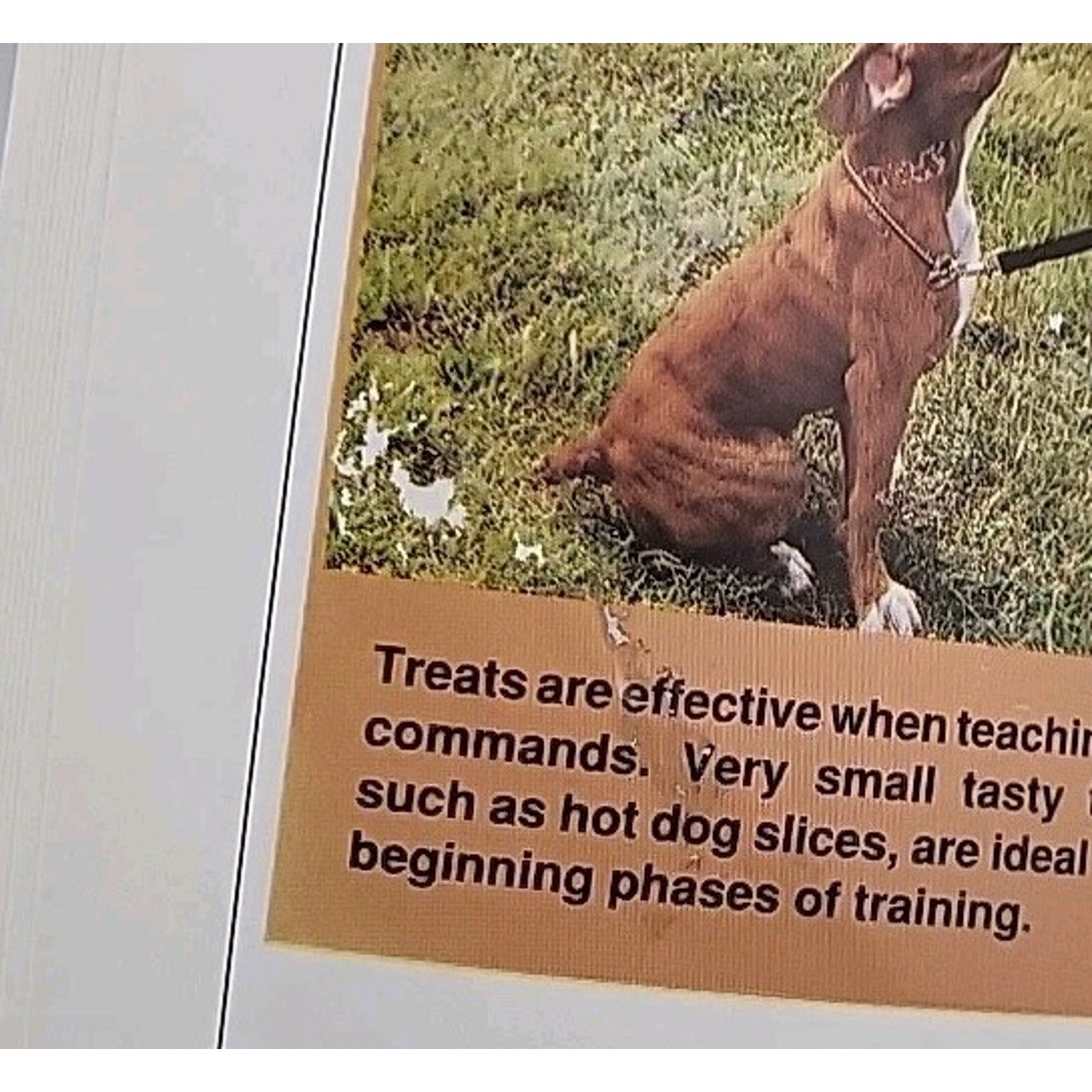 Guide to Dog Obedience Training by Dan Gentile Jr. (1997, Trade Paperback)
