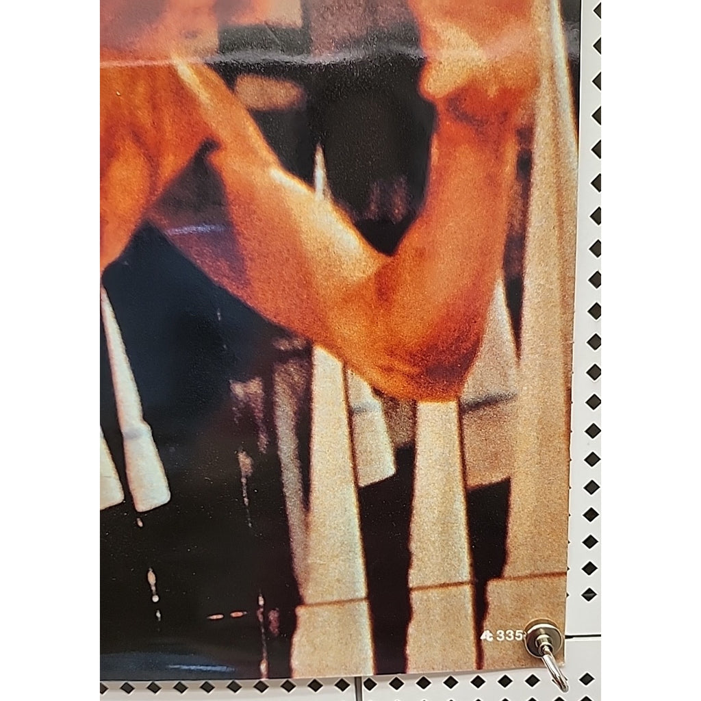 Bruce Lee 15x21 Poster