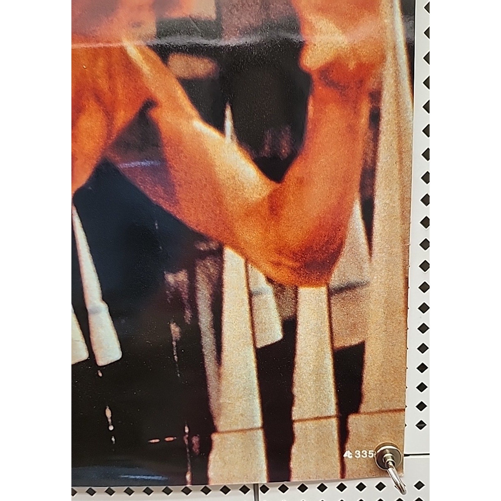 Bruce Lee 15x21 Poster