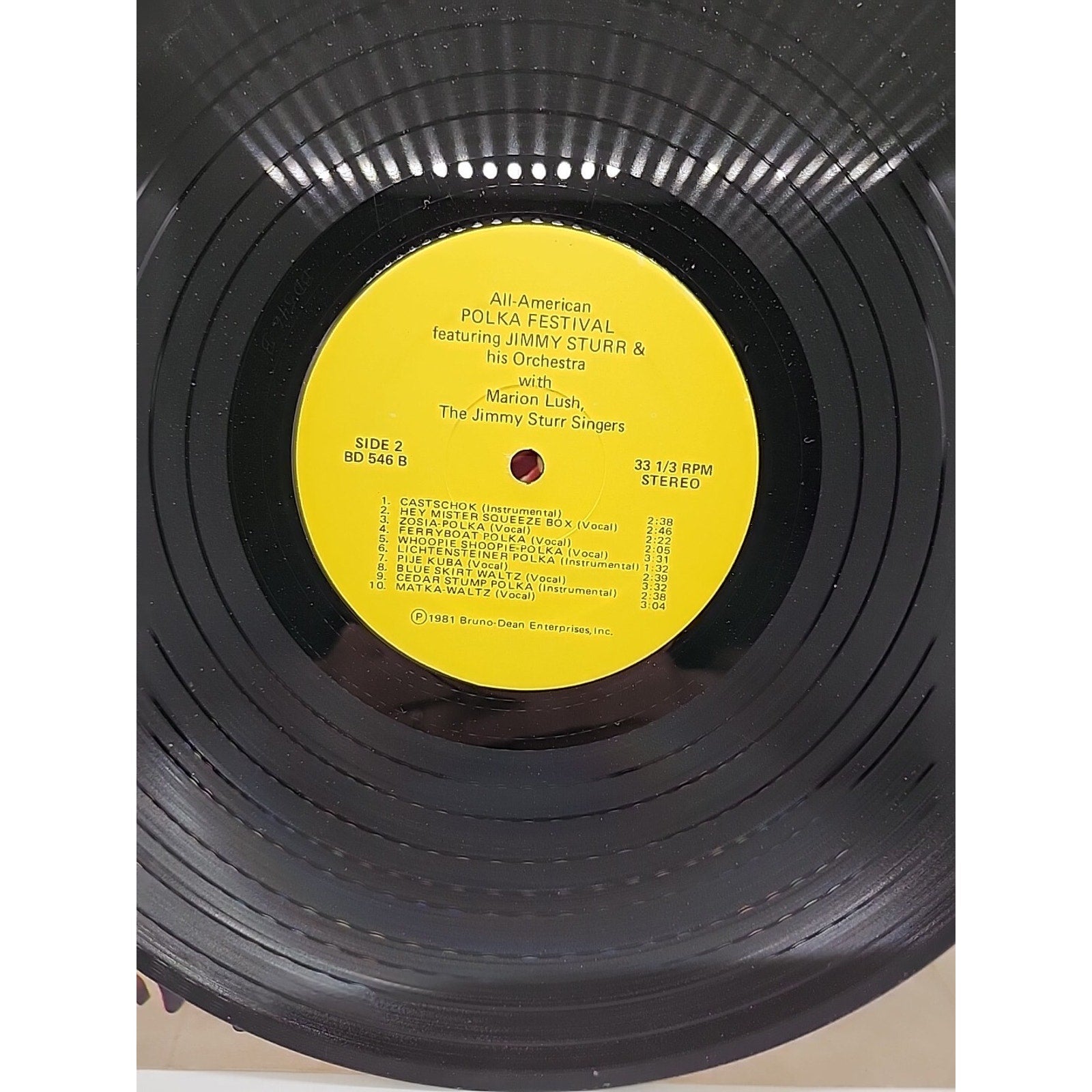 Jimmy Sturr and His Orchestra All American Polka Festival Stereo (Record)