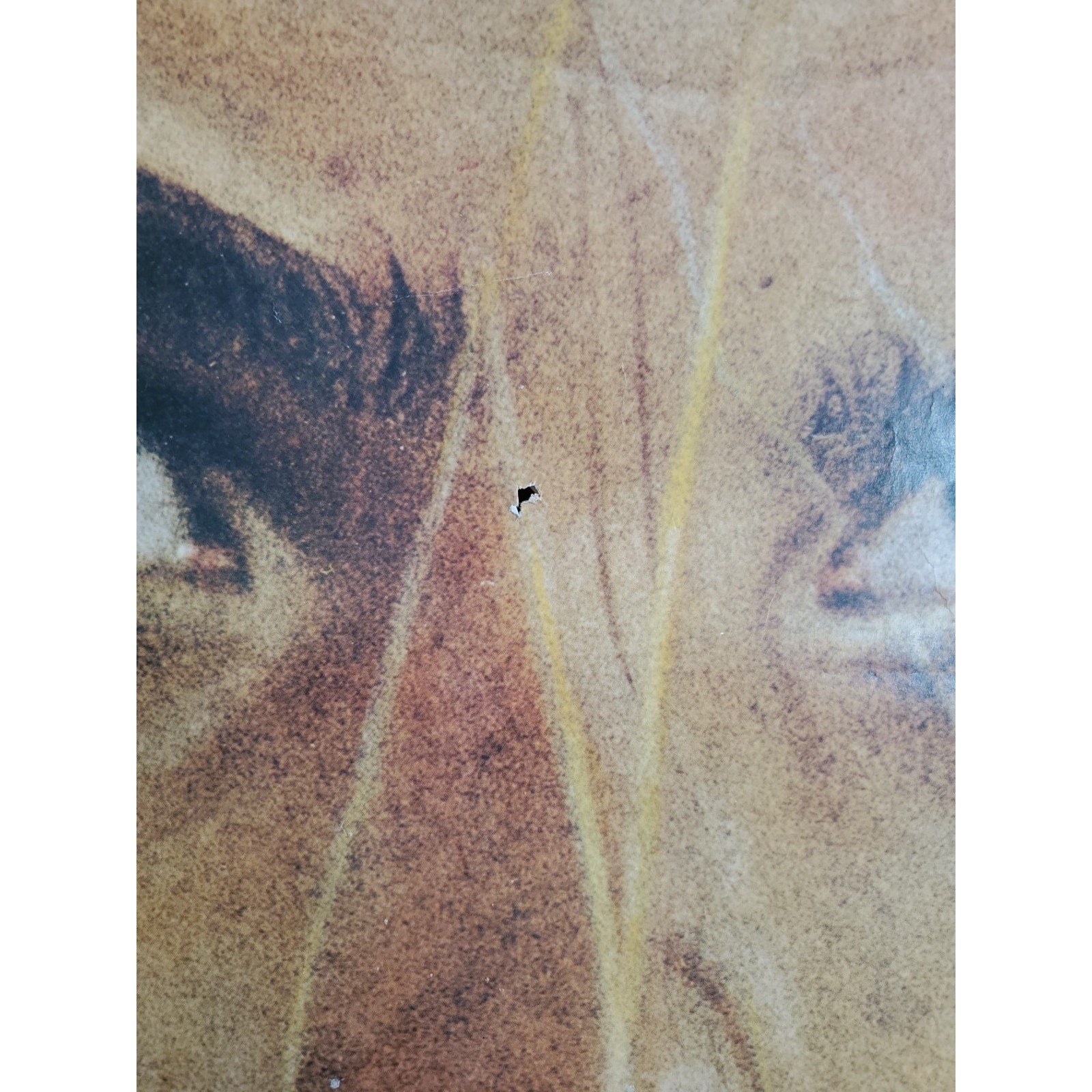 Movie Poster Personal Best 41X27
