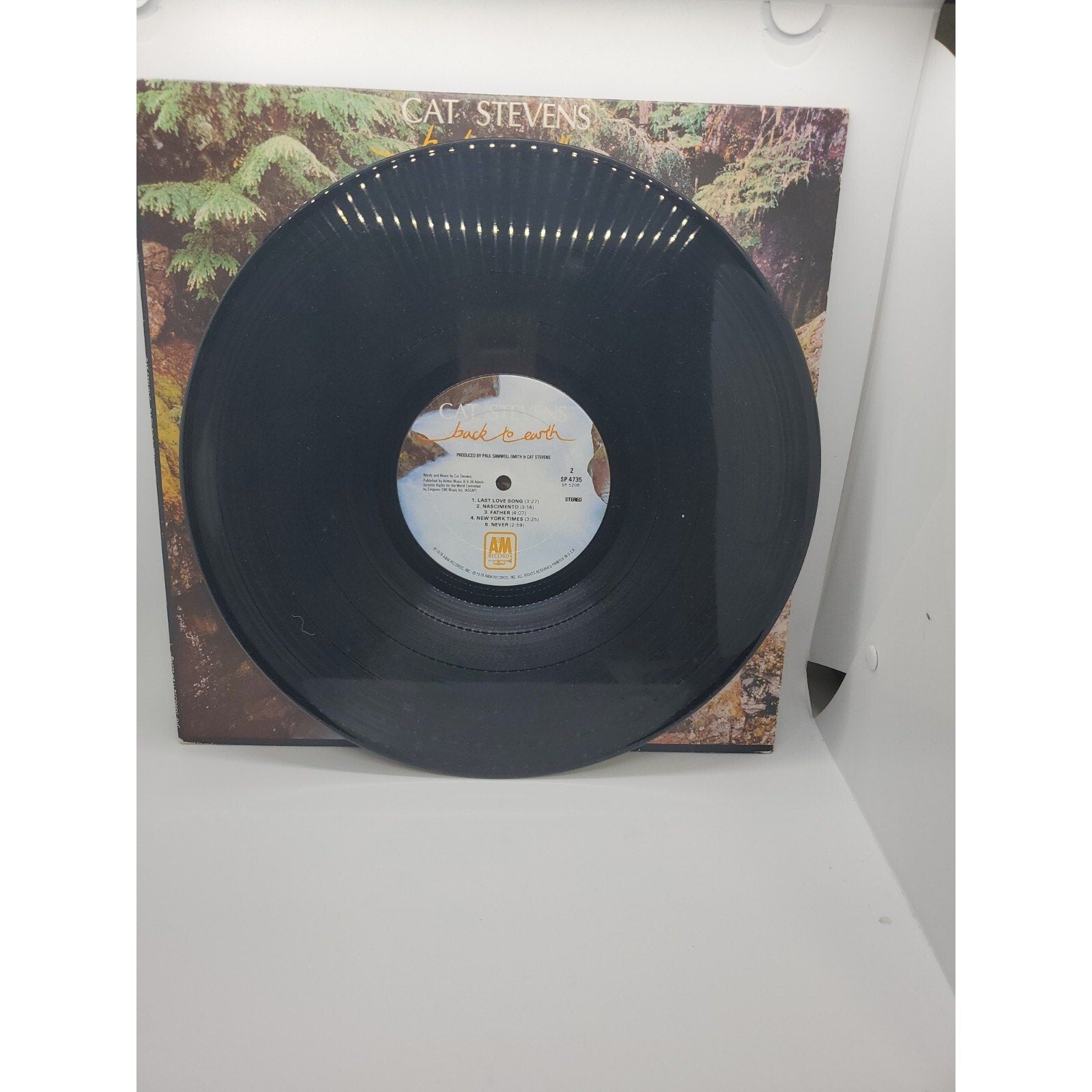 Back To Earth by Yusuf ( Stevens, Cat ) (Record, 2019)