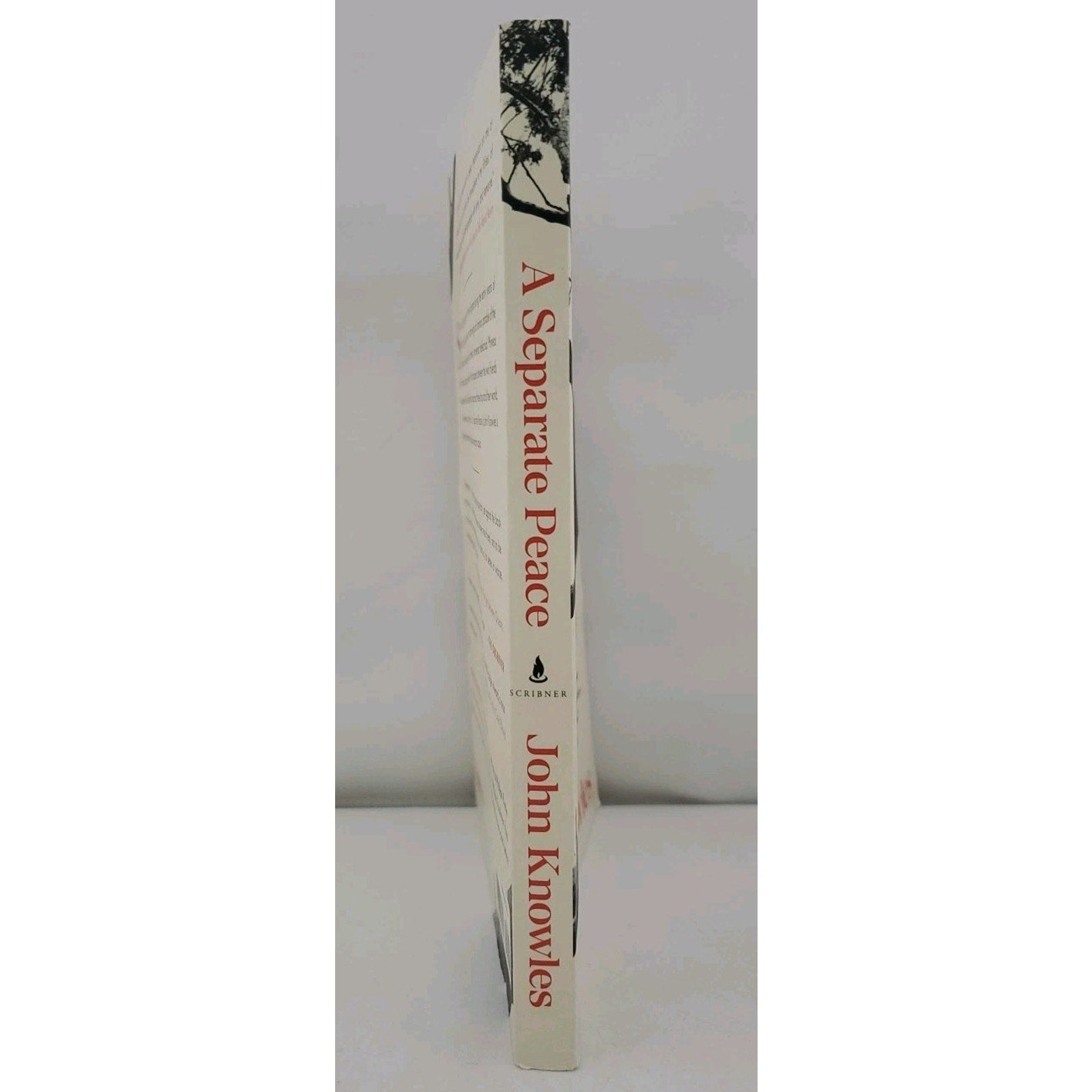 Separate Peace by John Knowles (2003, Trade Paperback)