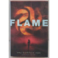 Flame : Book Three of the Sky Chasers by Amy Kathleen Ryan (2014, Hardcover)