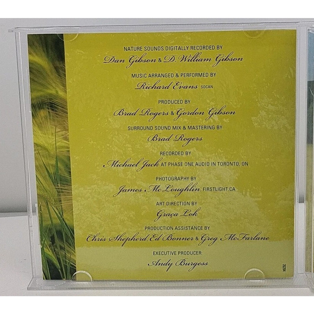 Wind Beneath My Wings by Dan Gibson (CD, 2003)