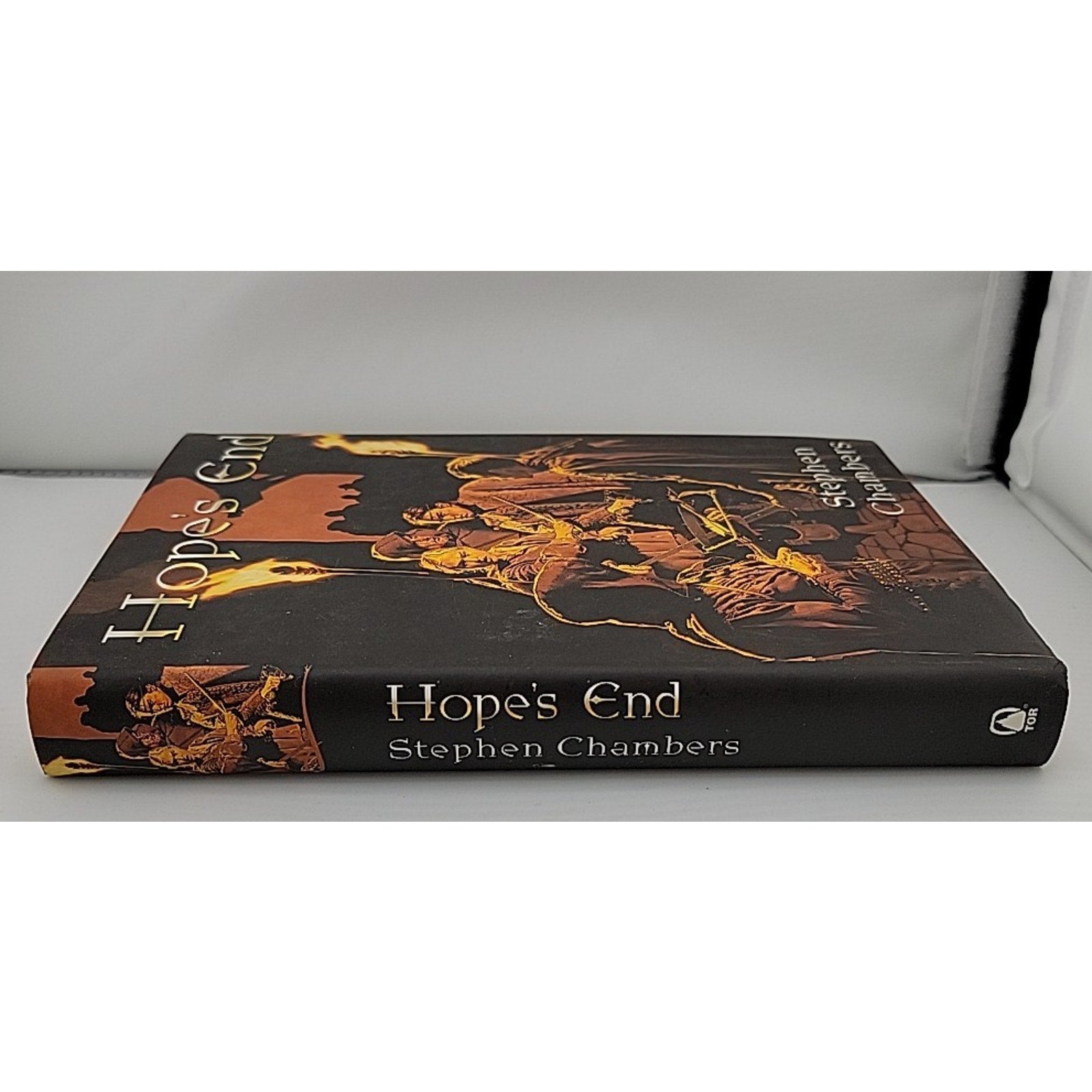 Hope's End by Stephen Chambers (2001, Hardcover)