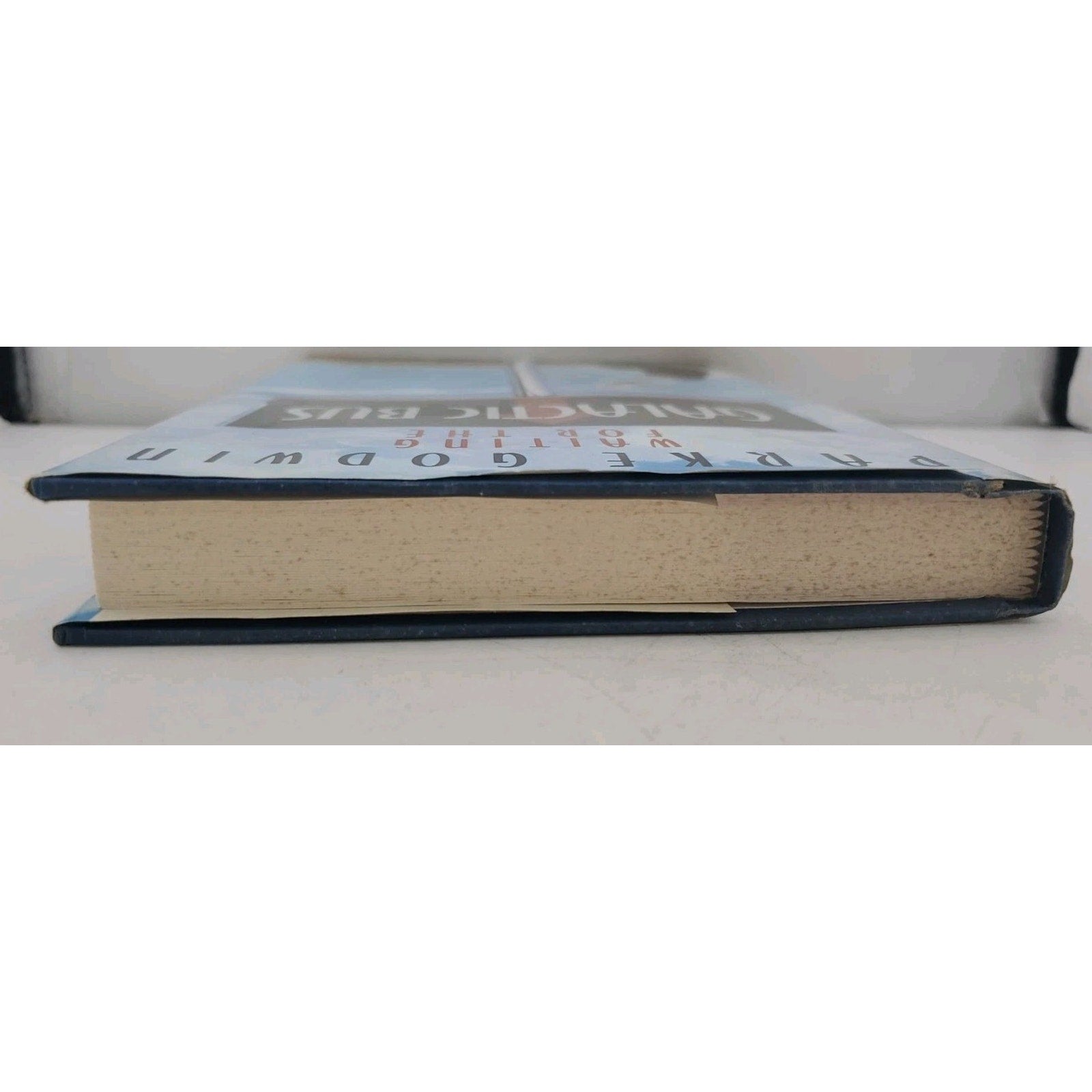 Waiting for the Galactic Bus by Parke Godwin (1988, Hardcover)