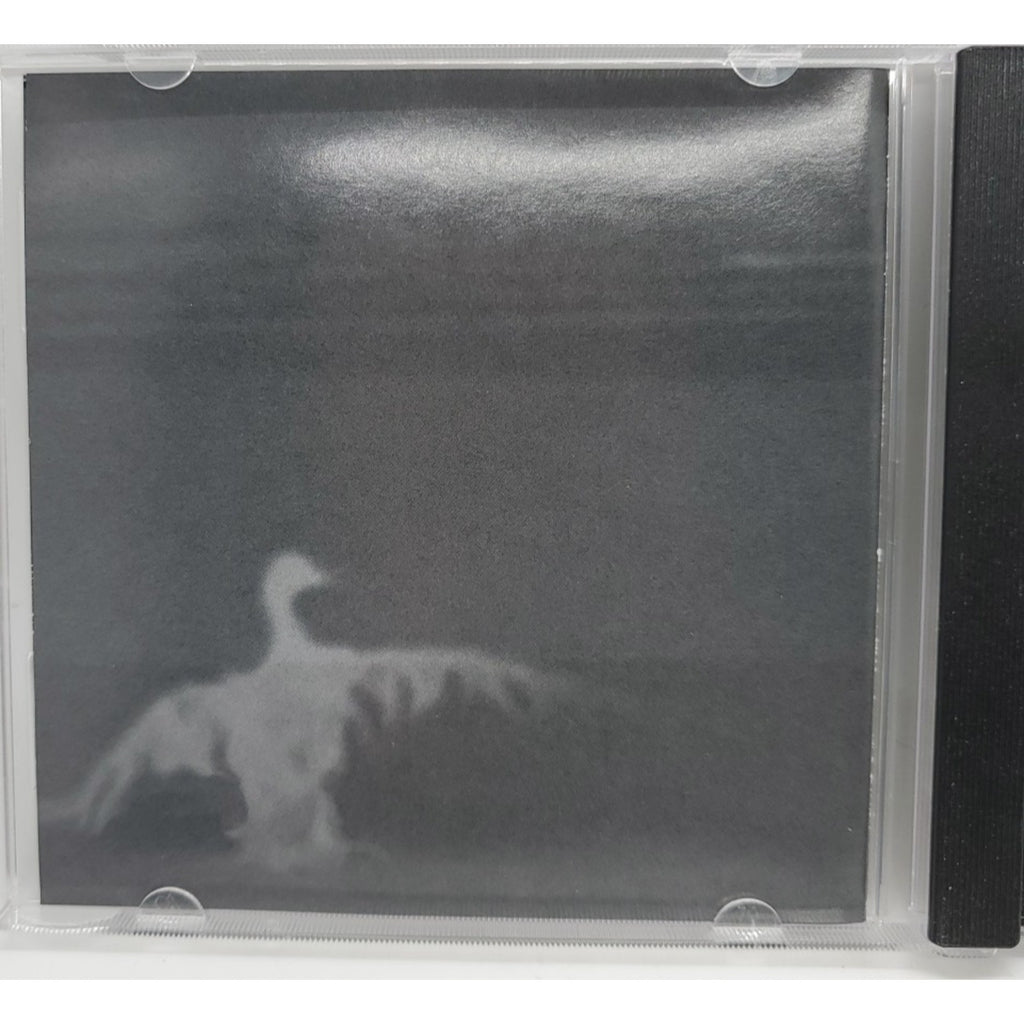 Flap Your Useless Wings By Warhorses (CD)