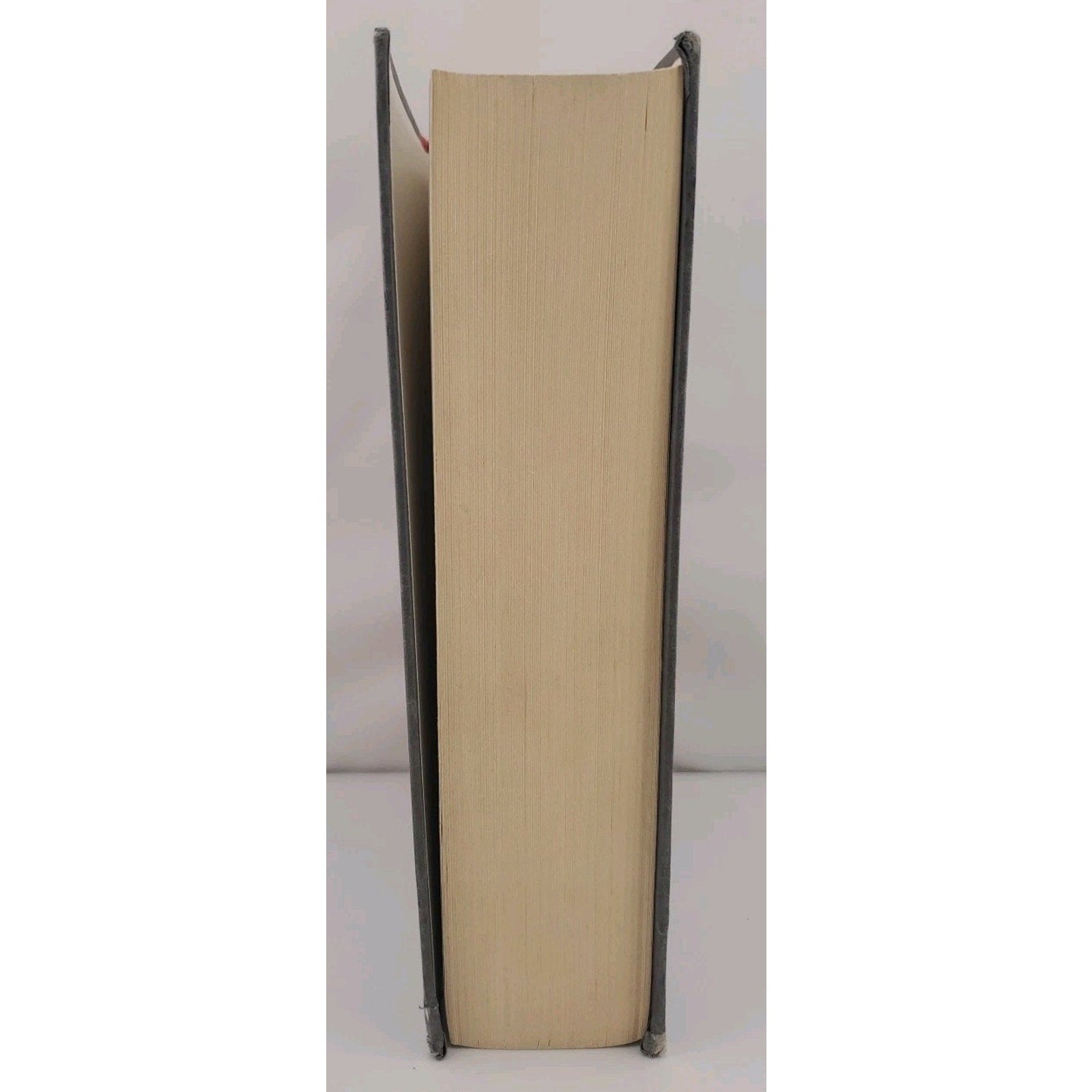 Company by Robert Littell (2002, Hardcover)