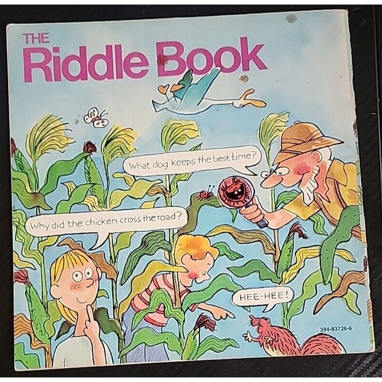 The Riddle Book By Roy Mckie