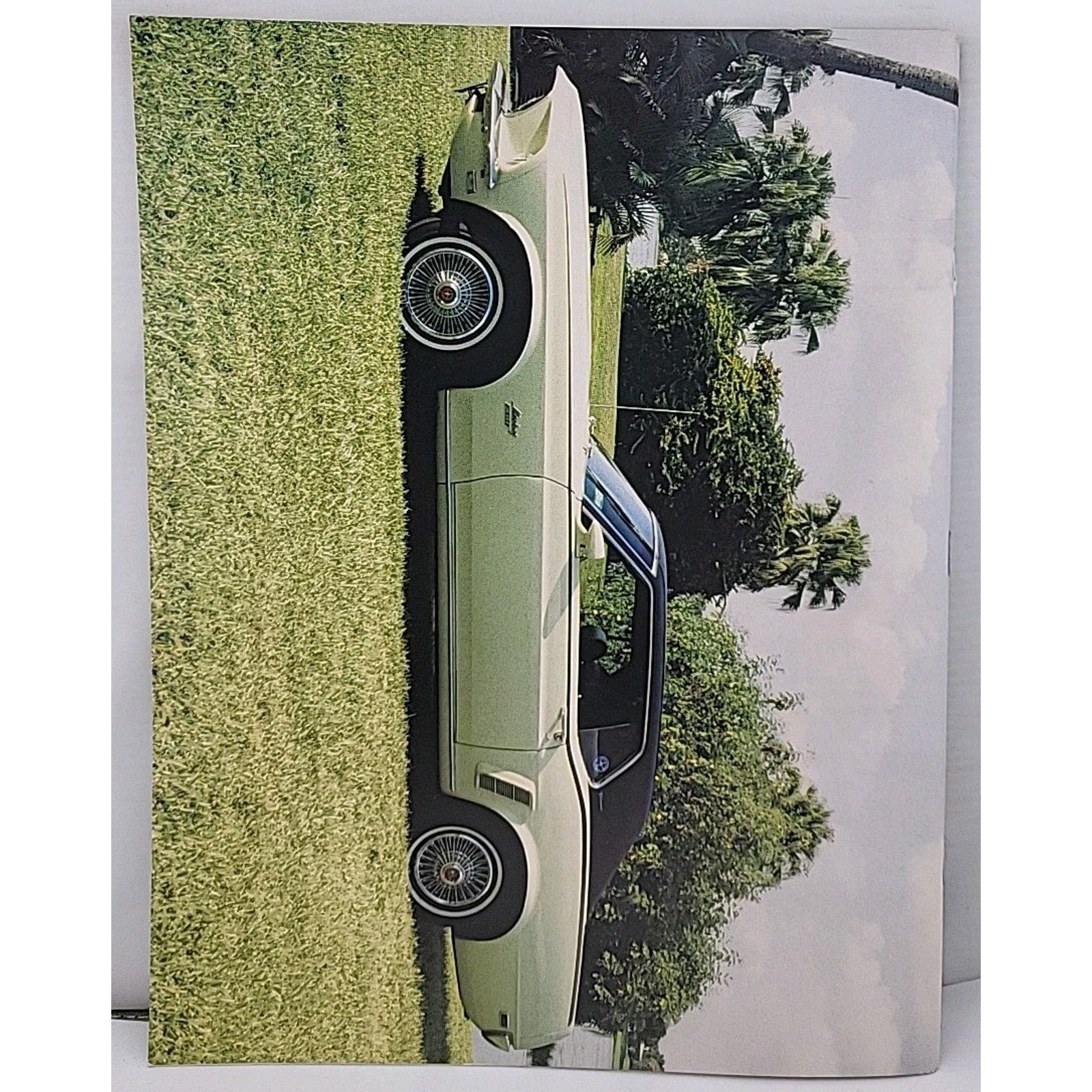 Mustang Times Magazine - March 1995 - Vol. 19 No. 3