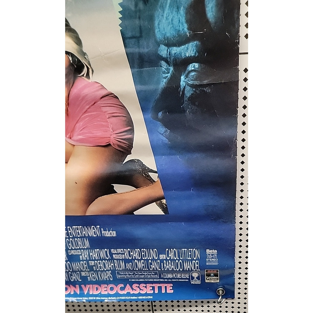 Vibes Video Release Poster 27x40