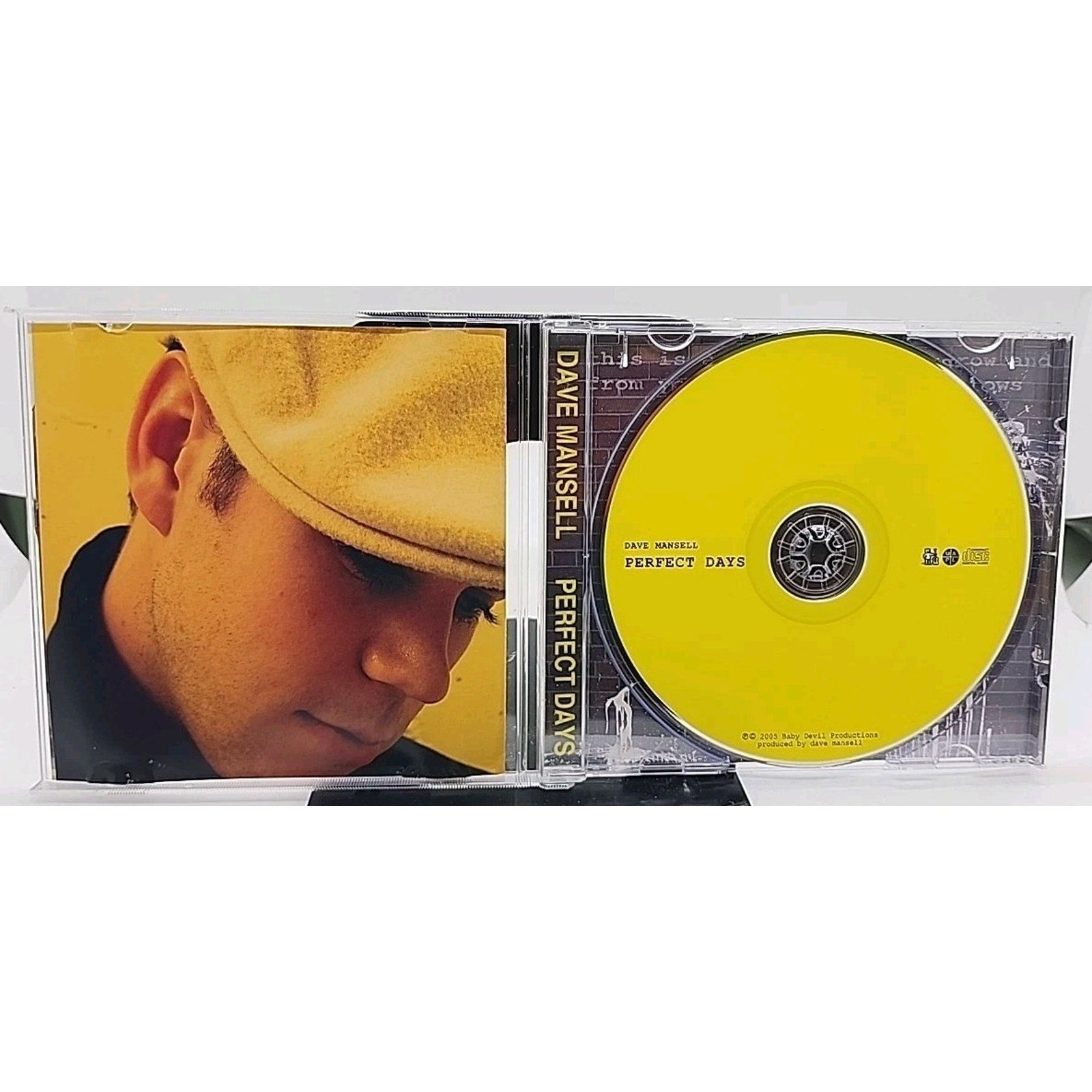 Dave Mansell Perfect Days (CD)