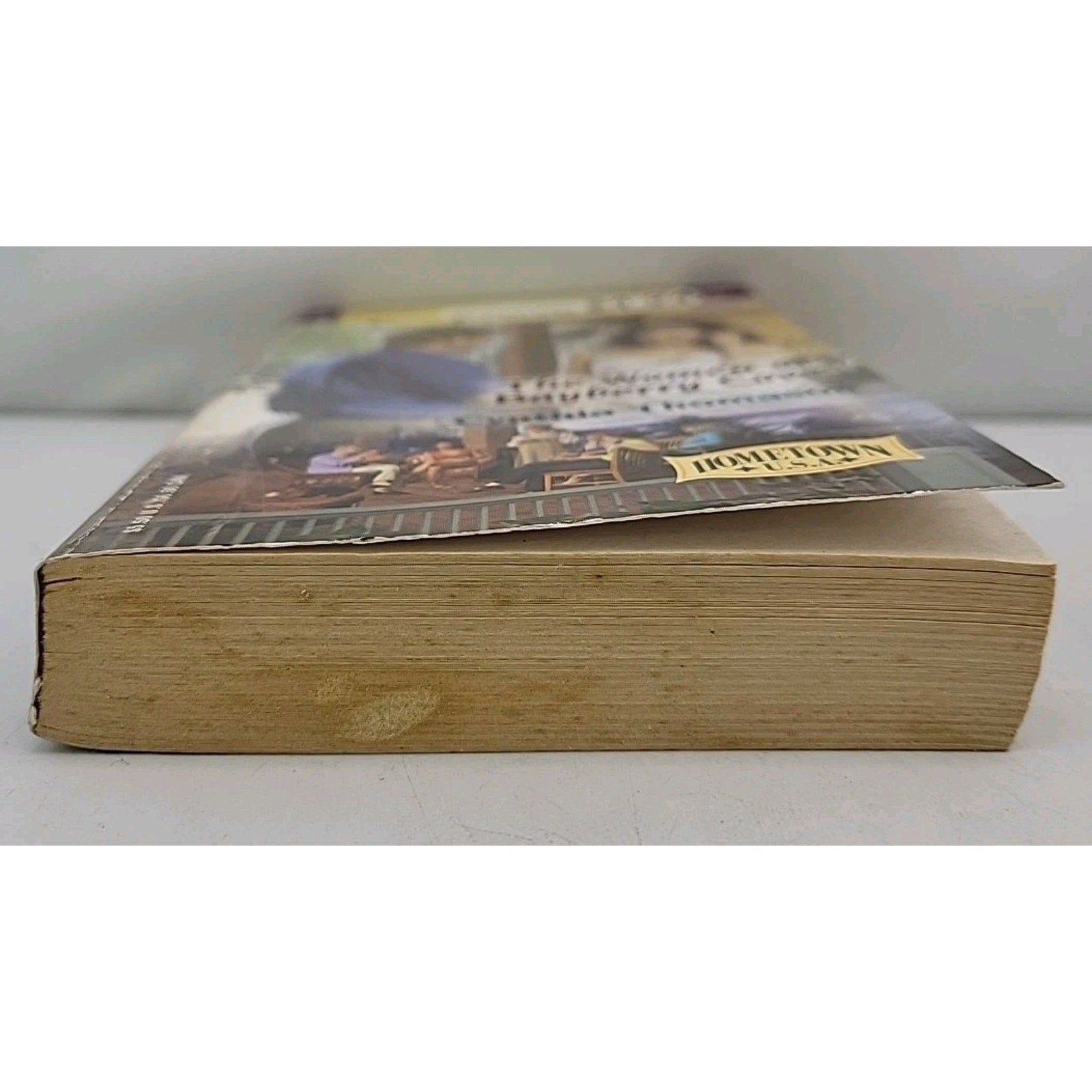 Women of Bayberry Cove : Hometown U. S. A. by Cynthia Thomason (2004, Mass...