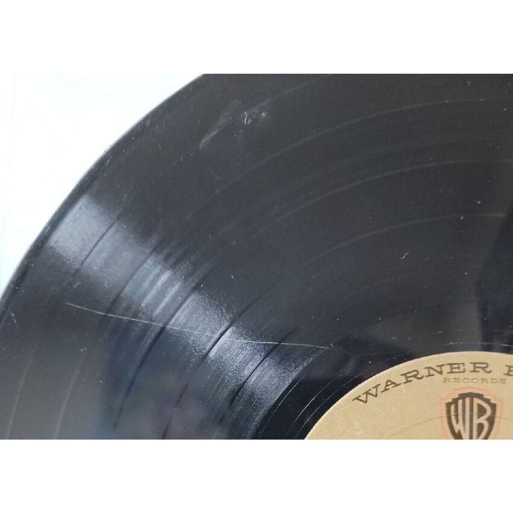 Peter Paul and Mary See What Tomorrow Brings (Record)
