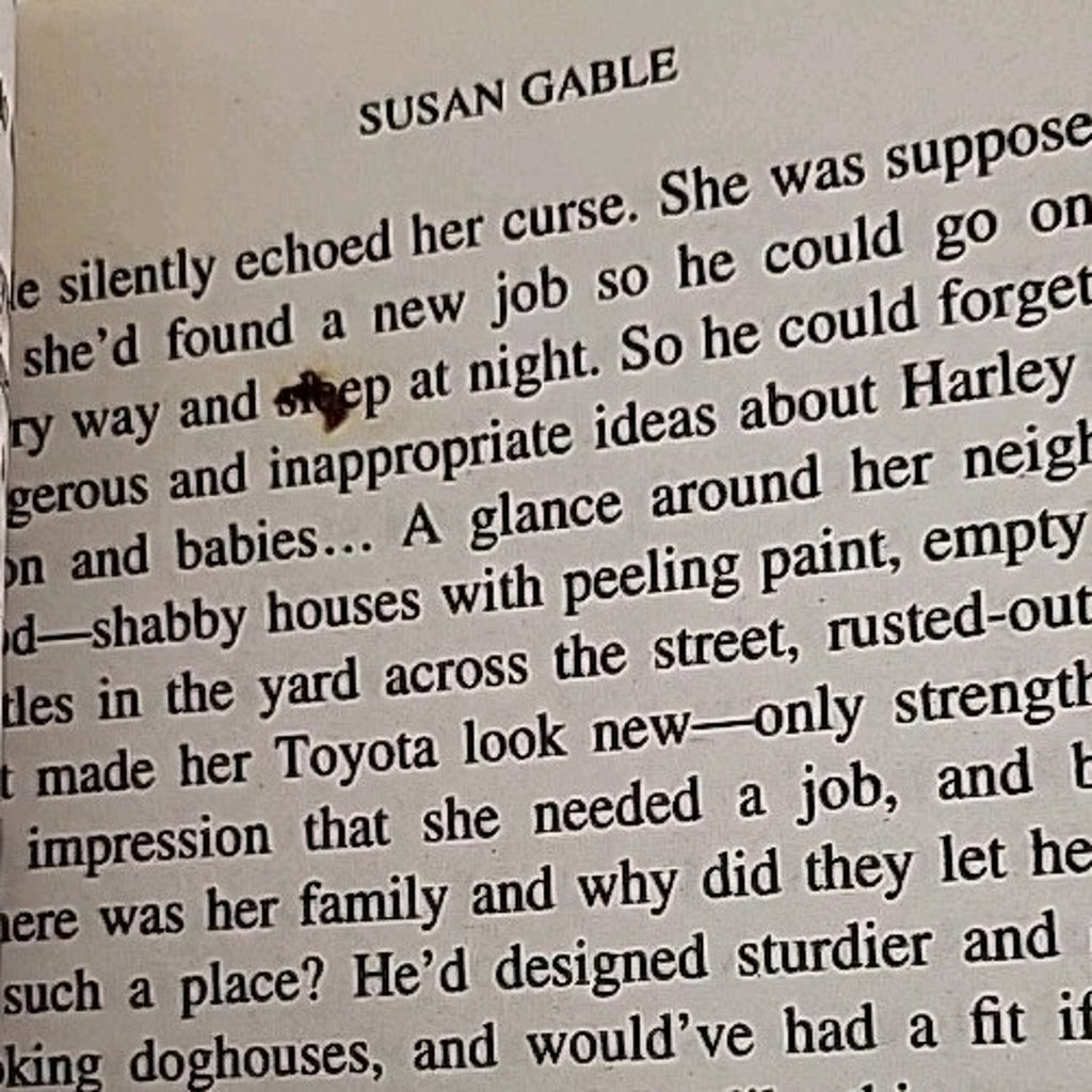 Baby Plan by Susan Gable (2002, Mass Market)