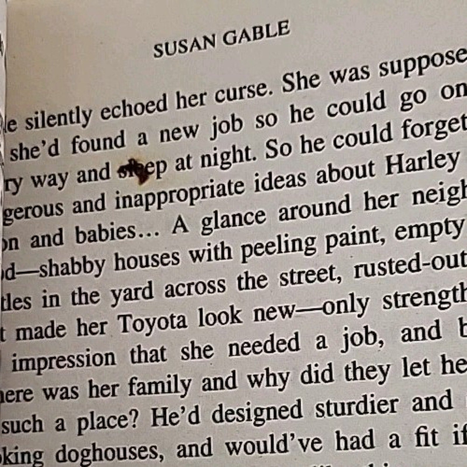 Baby Plan by Susan Gable (2002, Mass Market)