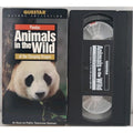 Pandas of the Sleeping Dragon (VHS) Animals in the Wild