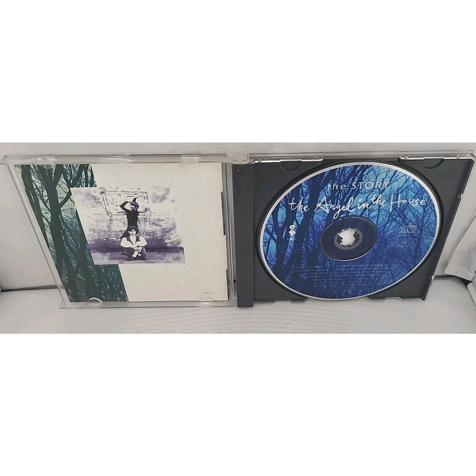 Angel in the House by Story (CD, 1993)