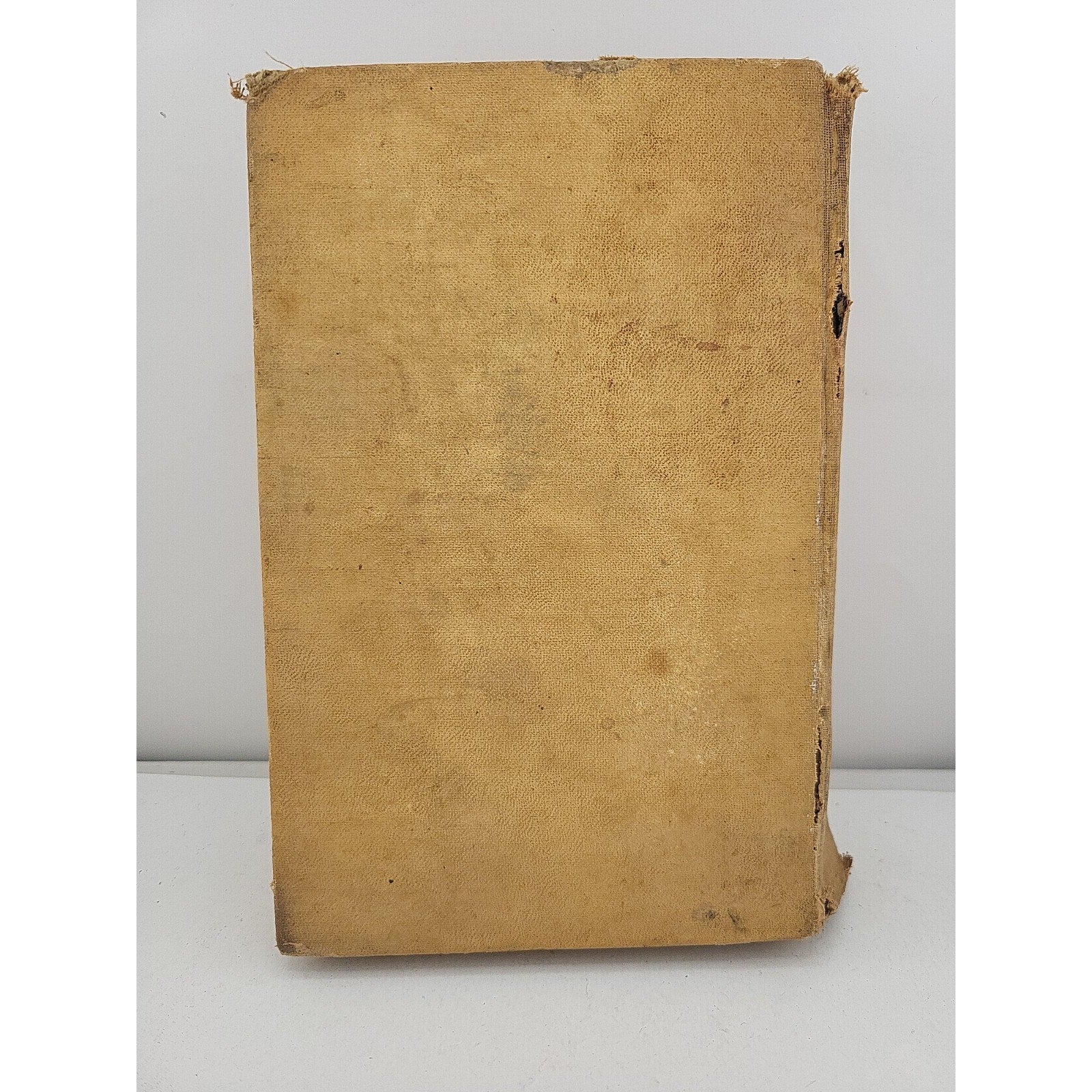 Detroit Times Cookbook 1933 Practical Recipes Housewife Recipes Cooking