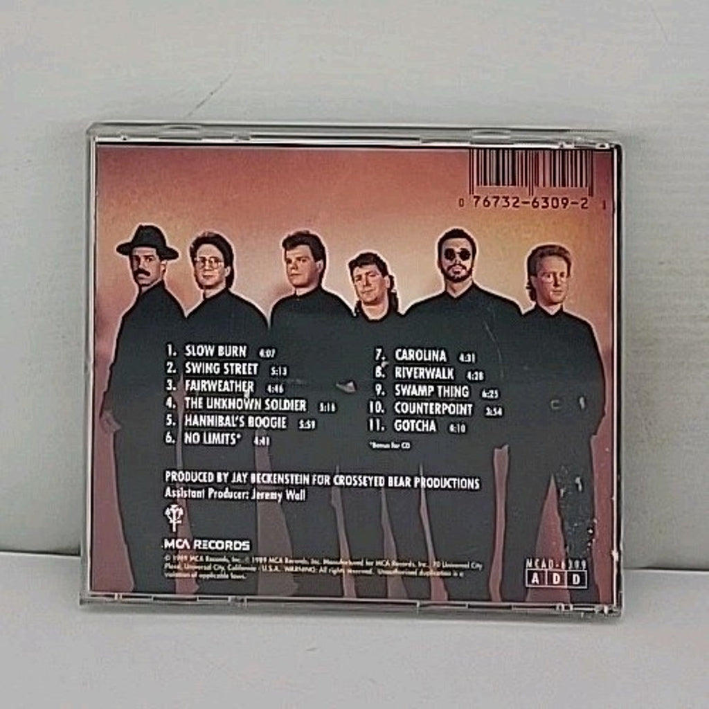 Point of View by Spyro Gyra (CD, Jun-1989, Grp Joint Venture)