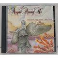 Angels Among Us by Steve Hall (CD, 2007)