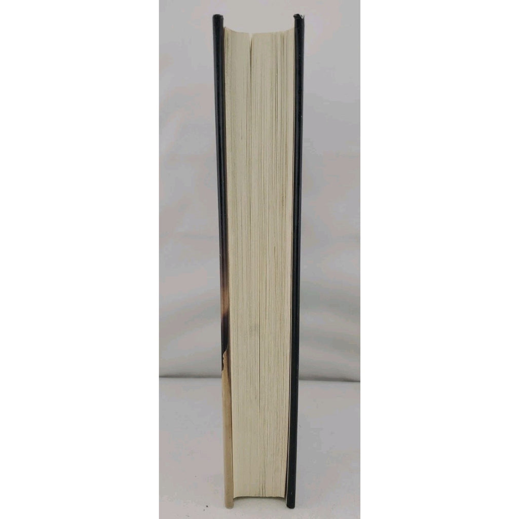 Witches' Hammer by Jane Stanton Hitchcock (1994, Hardcover)
