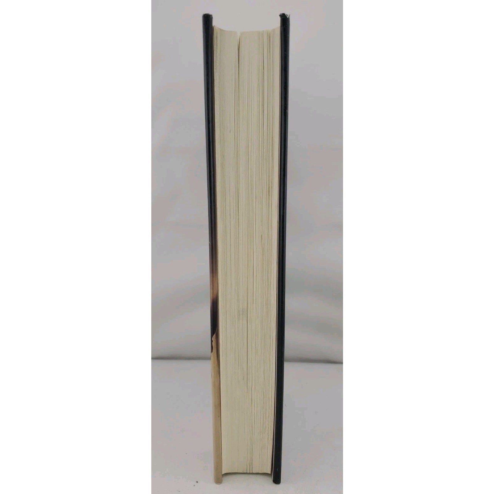 Witches' Hammer by Jane Stanton Hitchcock (1994, Hardcover)