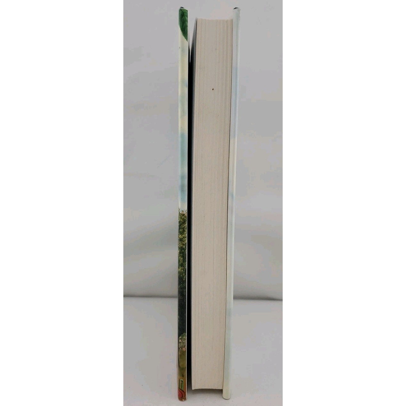 Philosophy Made Simple by Robert Hellenga (2006, Hardcover)