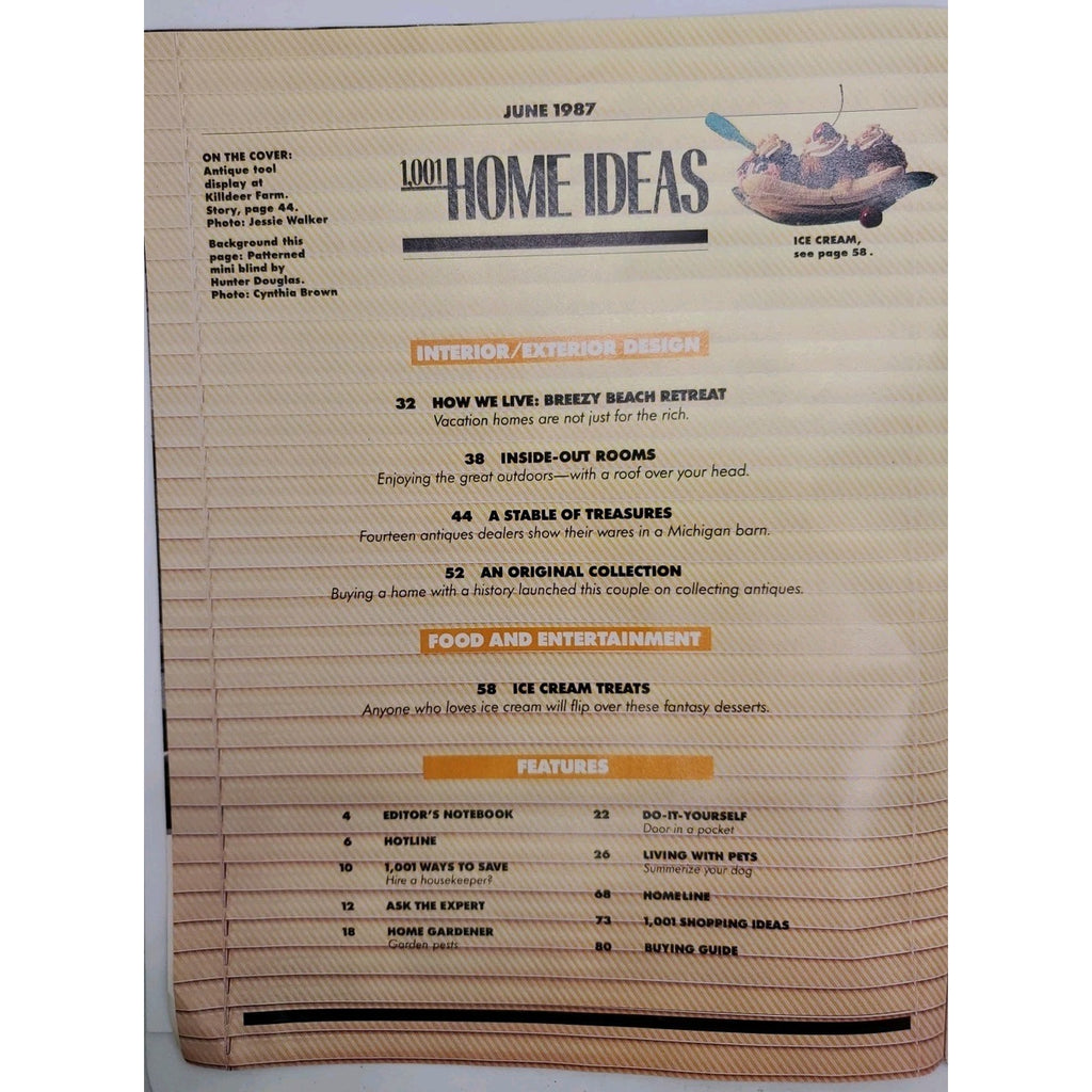 1001 Home Ideas June 1987 Magazine