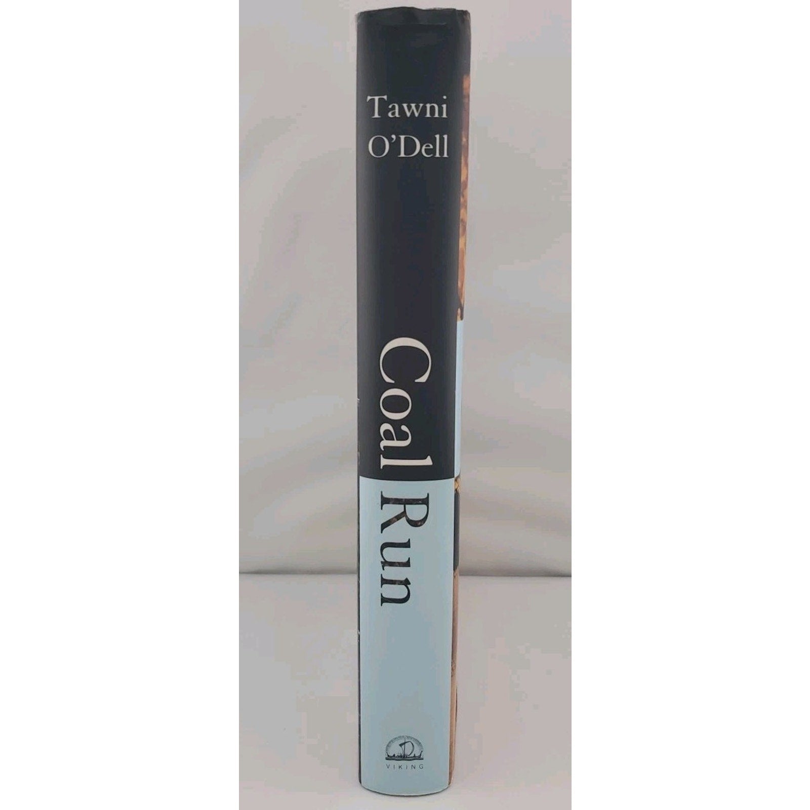 Coal Run by Tawni O'Dell (2004, Hardcover)