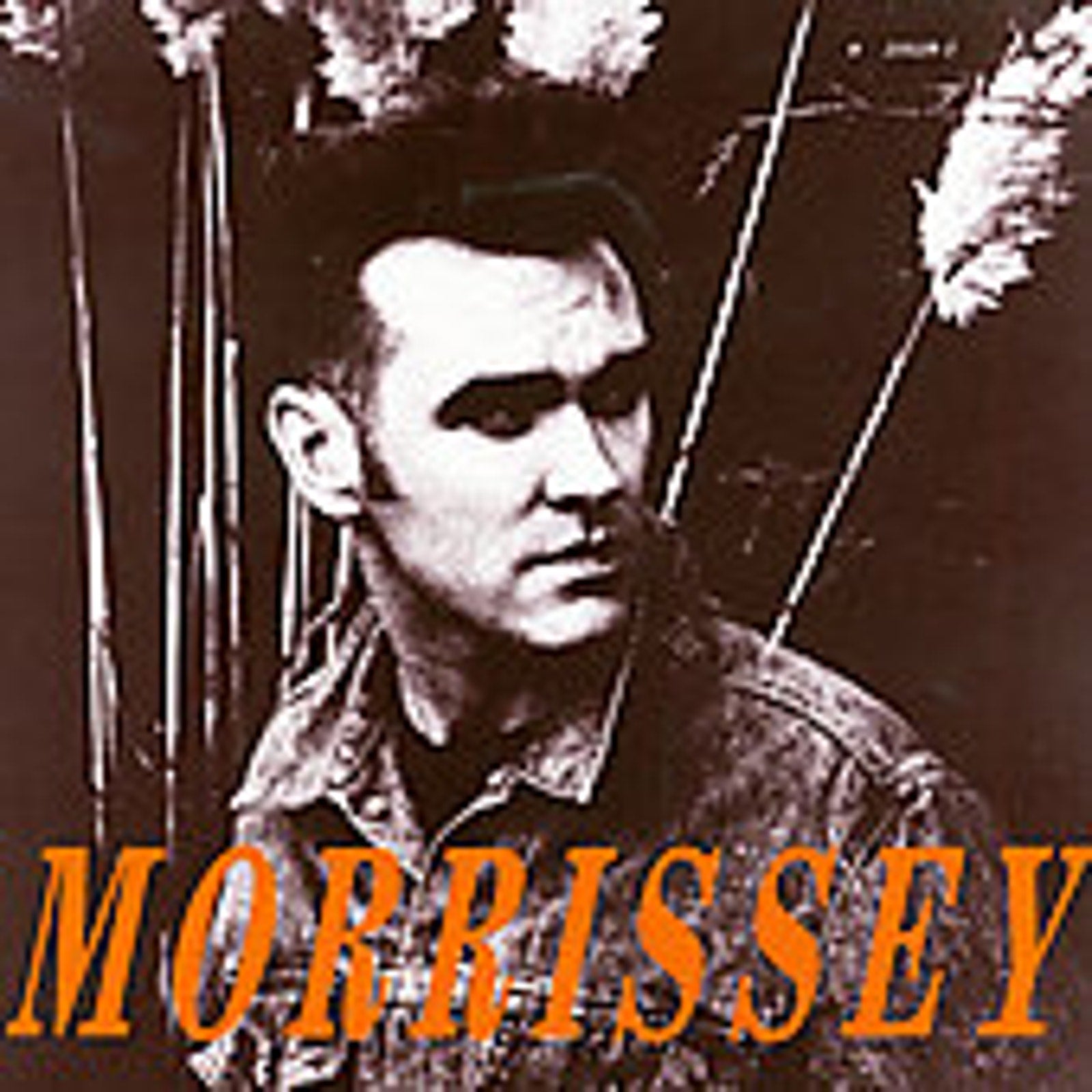November Spawned a Monster [Maxi Single] by Morrissey (CD, May-1990, Sire)