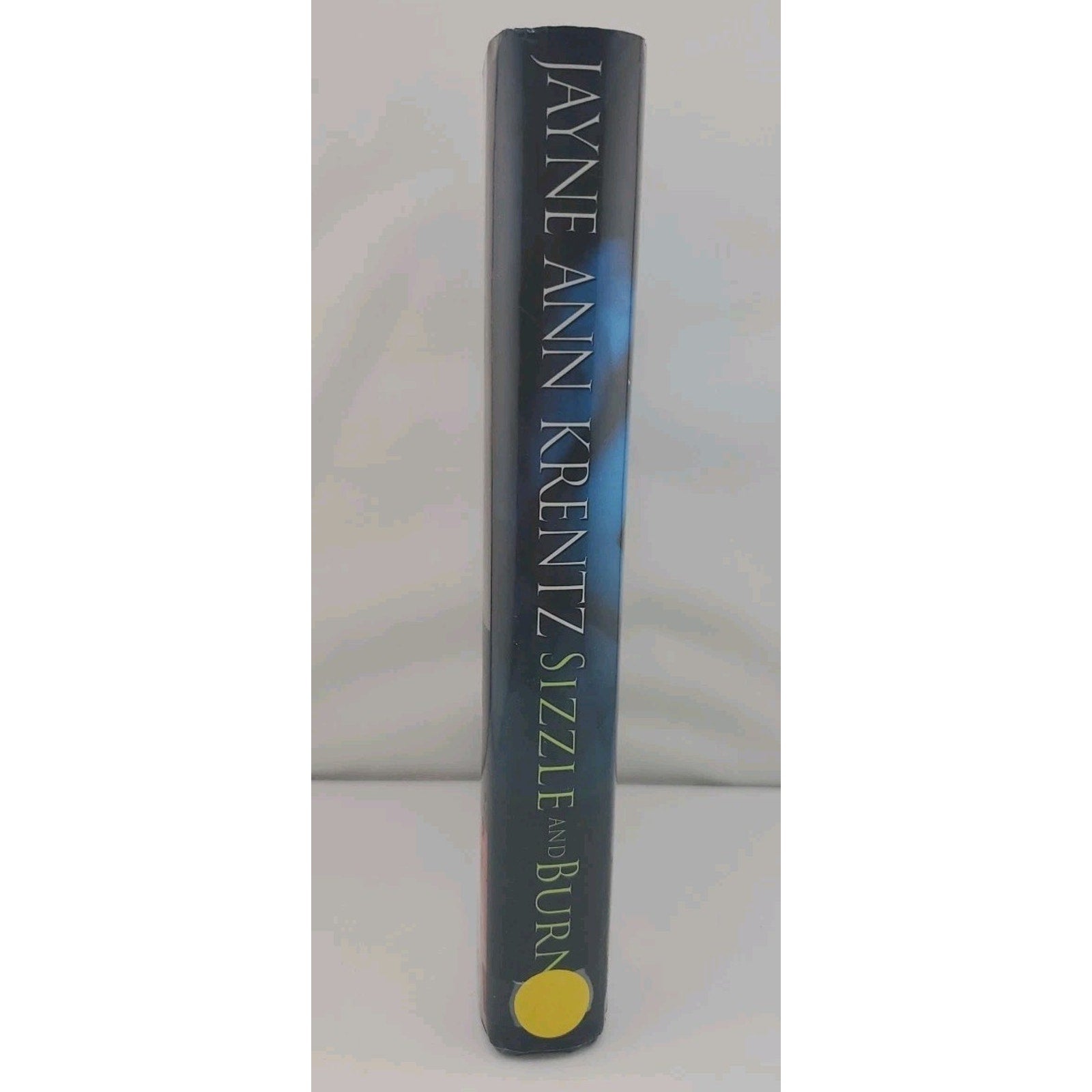 Sizzle and Burn by Jayne Ann Krentz (2008, Hardcover)