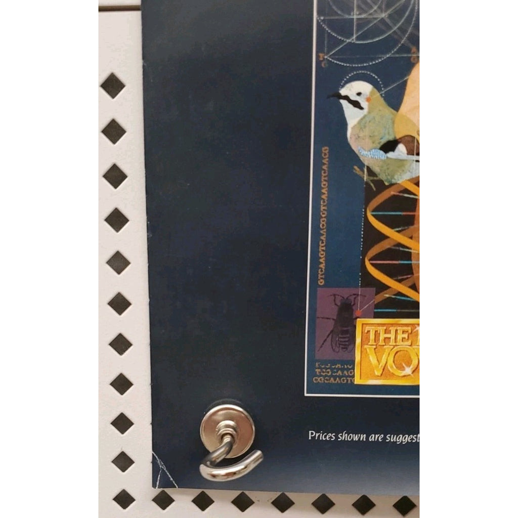 The Infinite Voyage Video Dealer Poster 17x29