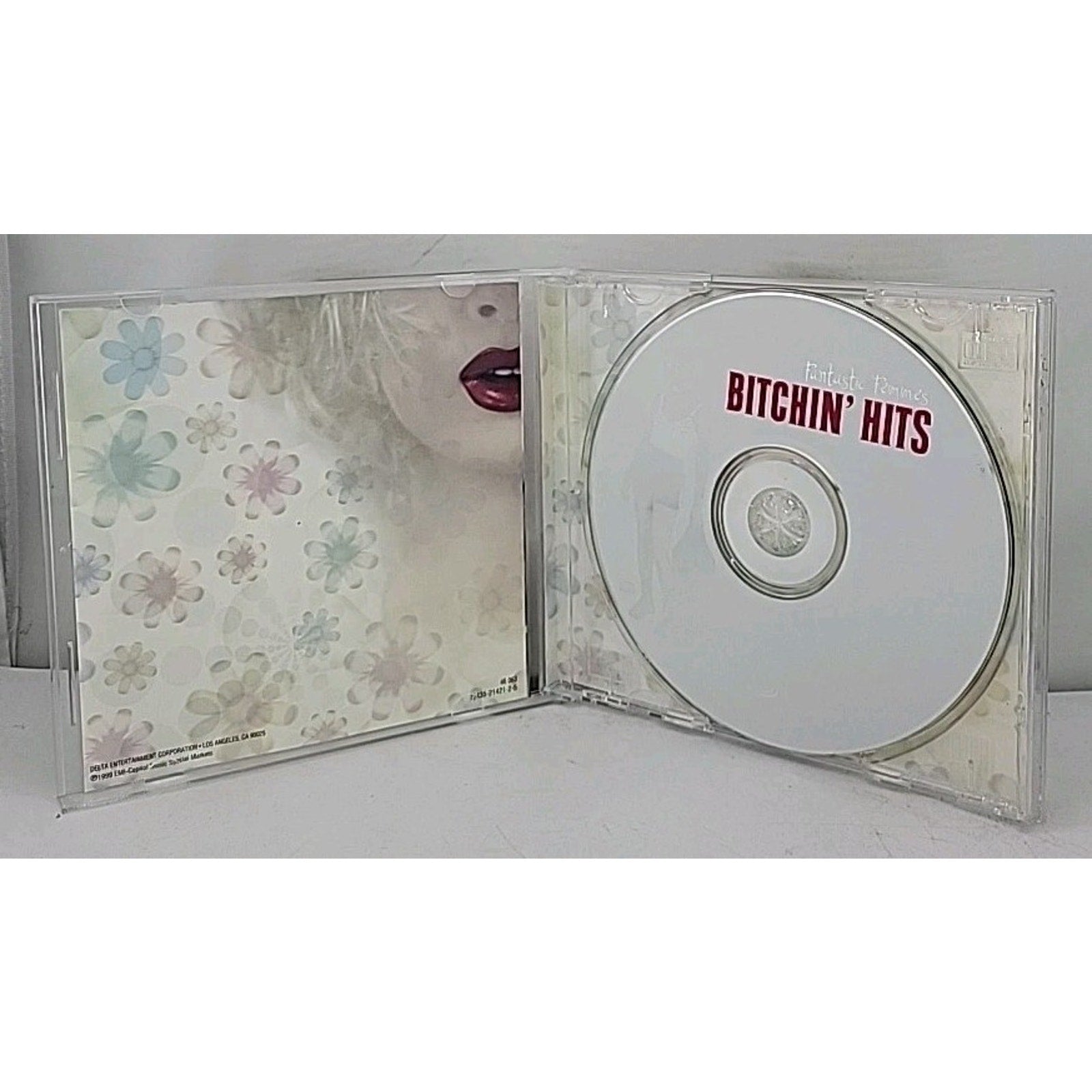 Bitchin' Hits-Fantastic Femmes by Various (CD, 2000)