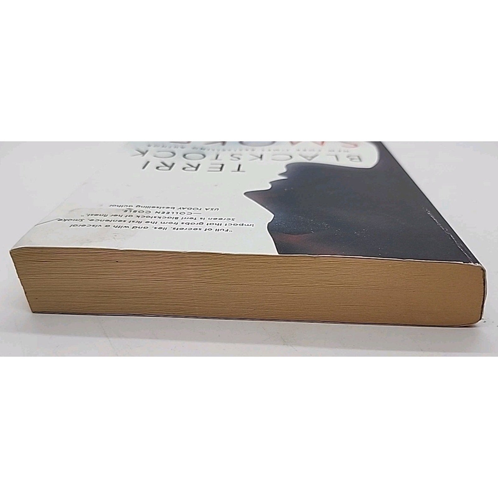 Smoke Screen by Terri Blackstock (2019, Trade Paperback)