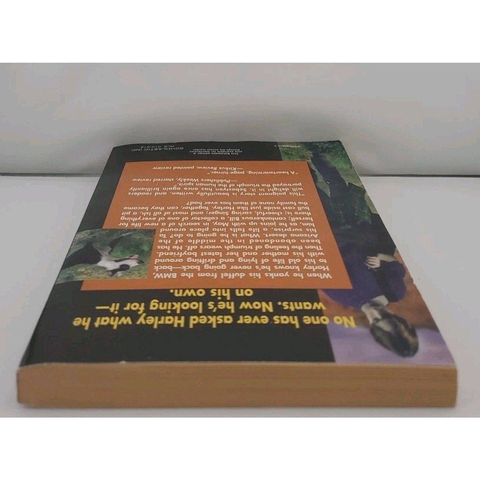 Out of Nowhere by Ouida Sebestyen (1995, Trade Paperback)