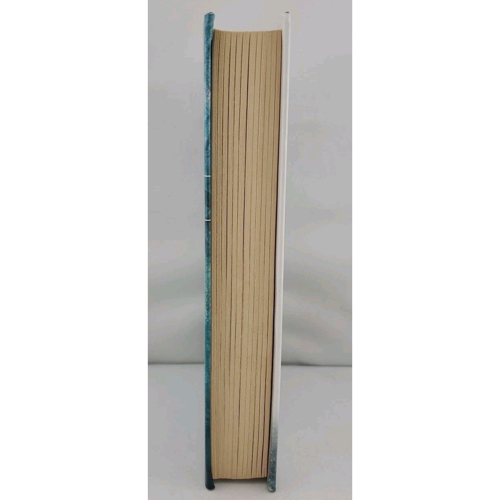 Stone Forest Karen Harper (Hardcover)