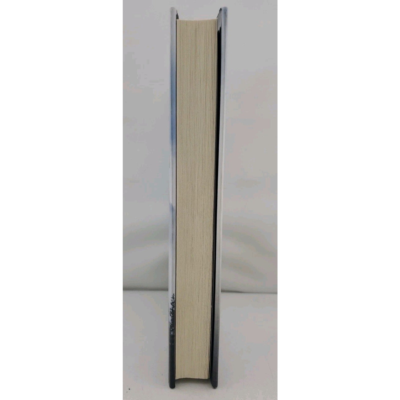 Bull Mountain by Brian Panowich (2015, Hardcover)