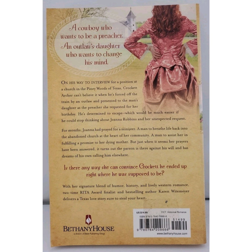 Stealing the Preacher by Karen Witemeyer (2013, Trade Paperback)